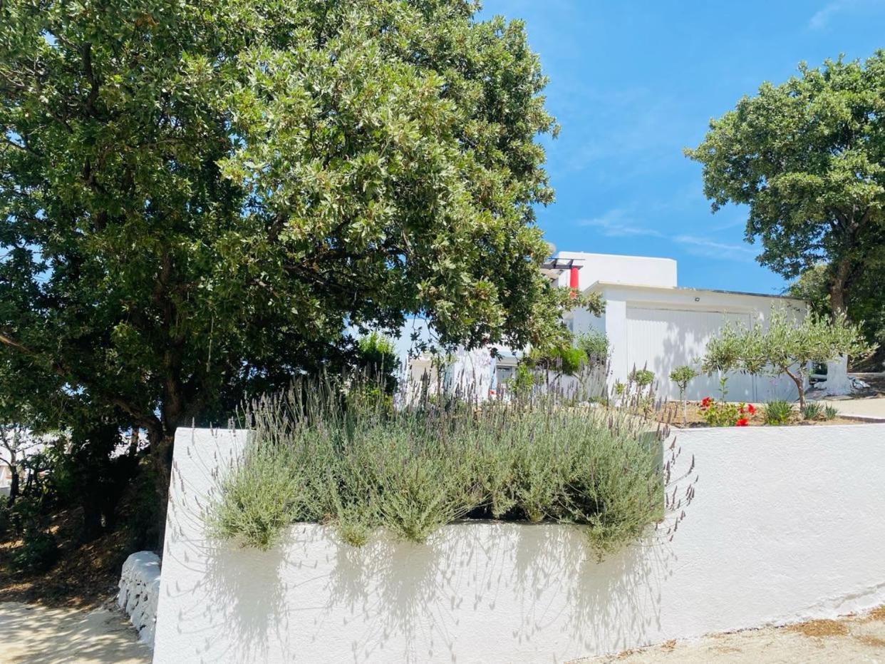 דירה The Blue House Ii *