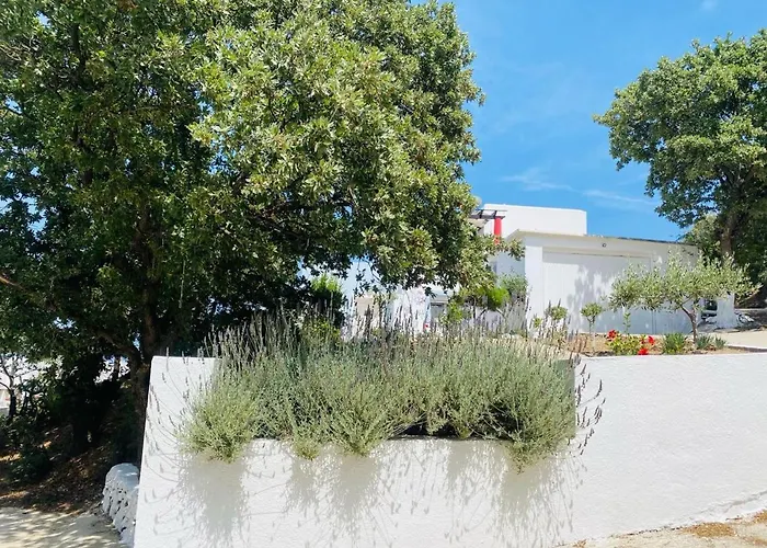 The Blue House II
